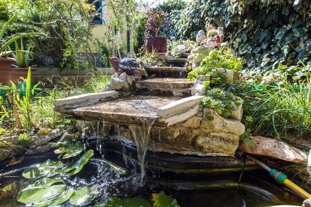 Apartments And Rooms Villa Dea Adults Only Ровінь Екстер'єр фото